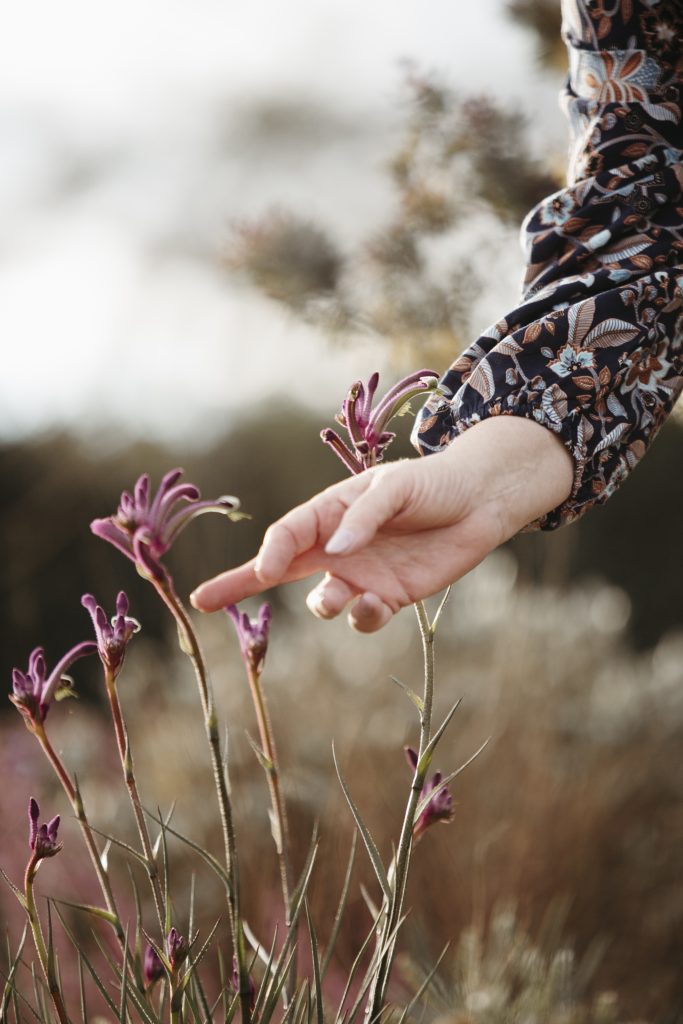 nature-nichol stark-grounding-energy-vibration